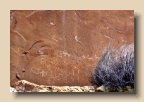 Butler Wash - Wolfman Panel 1
